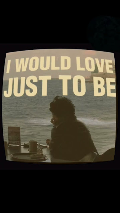 ✨️THE SHADE - Rex Orange County🎶✨️ | lyrics | #music #song