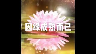 201604 因缘成熟而已21767