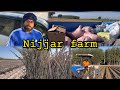 Fertilizer 4   sugarcanenijjarfarmtranding subcribe new.