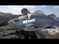 MC works' 公式 ≫ -ROCK SHORE- ≫ 青物とヒラスズキを狙ってパノラマ釣行。風になって歩く。