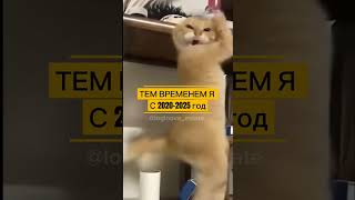 Как пережить все новости? #риелтормосква #психология #риелтор #ипотека #семейнаяипотека