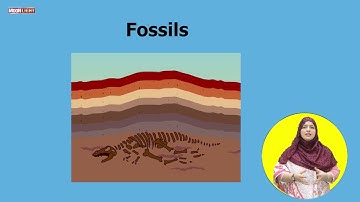 SNC Science Grade 4 Unit 7 Topic 4