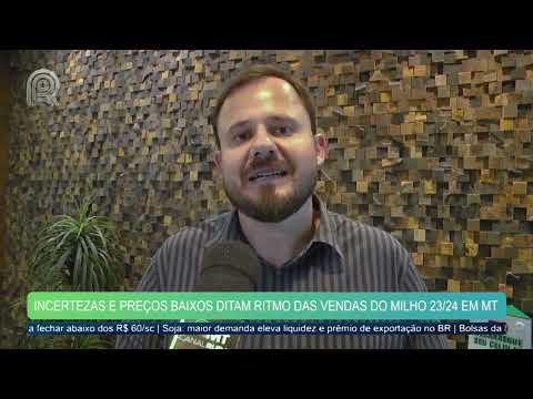 Incertezas e preços baixos ditam ritmo das vendas do milho 2023/24 em Mato Grosso | Canal Rural