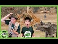 Animal adventure park zoo  trex ranch adventures  kids songs  moonbug kids