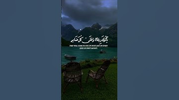 #malek_awad #اكسبلور #ارح_قلبك #راحة_نفسية #آيات #الذكر_الحكيم #احمد_النفيس #تلاوة_خاشعة #تيك_توك