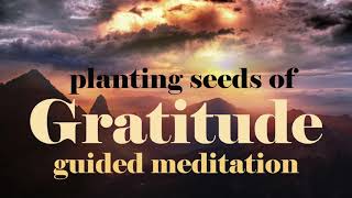 Planting Seeds of Gratitude 10 Minute Guided Meditation