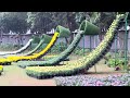 Beautiful flower in the world 🌎 🌹🌺❤️🌷#beautifulflowers #flowers #nature #garden #youtubevideo #yt