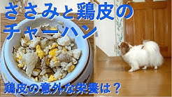 考える犬ごはん Youtube