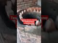 9 мая 2023 г.