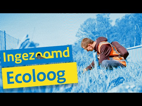 Video: Wat doen jy as ekoloog?