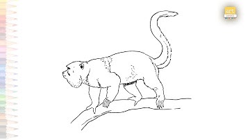 Red Howler Monkey animal drawings |Howler Monkey drawings | How to draw Red Howler Monkey easy step