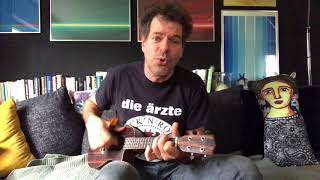 Video thumbnail of "This is the life Amy Mc Donald Ukulele Cover by Seffi"