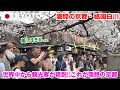 【海外の反応】京都・祇園白川の満開の桜に外国人観光客が殺到🌸これが想像していた京都の風景だ!