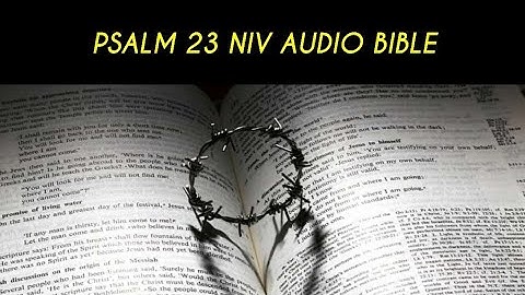 PSALM 23 NIV AUDIO BIBLE