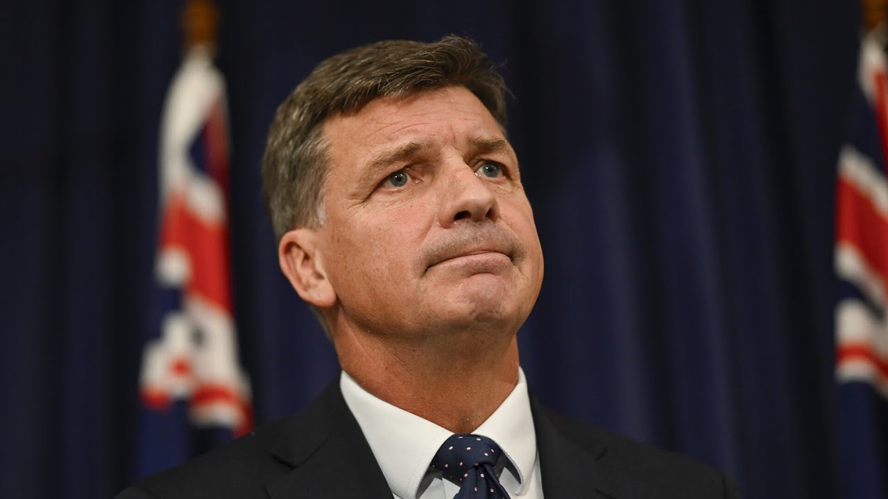 Shadow Health Minister addresses Angus Taylor rejecting gender quotas for the Liberal Party
