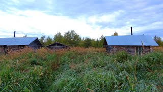 Путешествие на Ямозеро Ч27. Одиночный сплав по реке Печорская Пижма. Лесная изба. Один в тайге