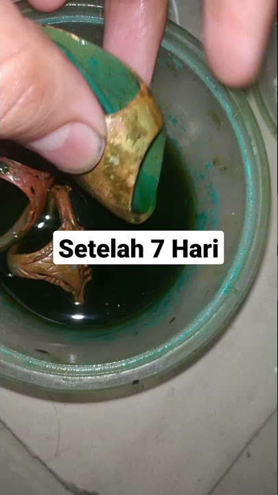 Rendam Batu Pandan Kapas Jadi pandan lumut
