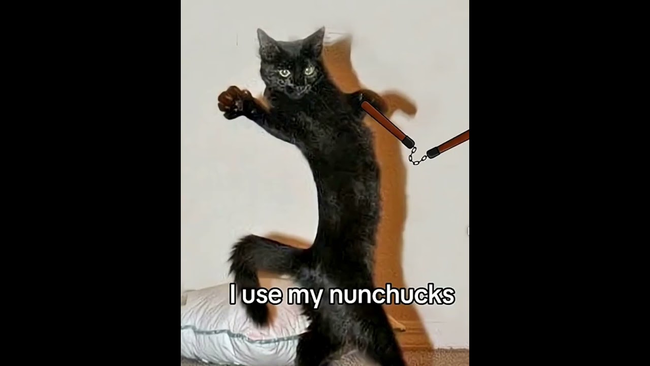 I want to be ninja 😺🥷