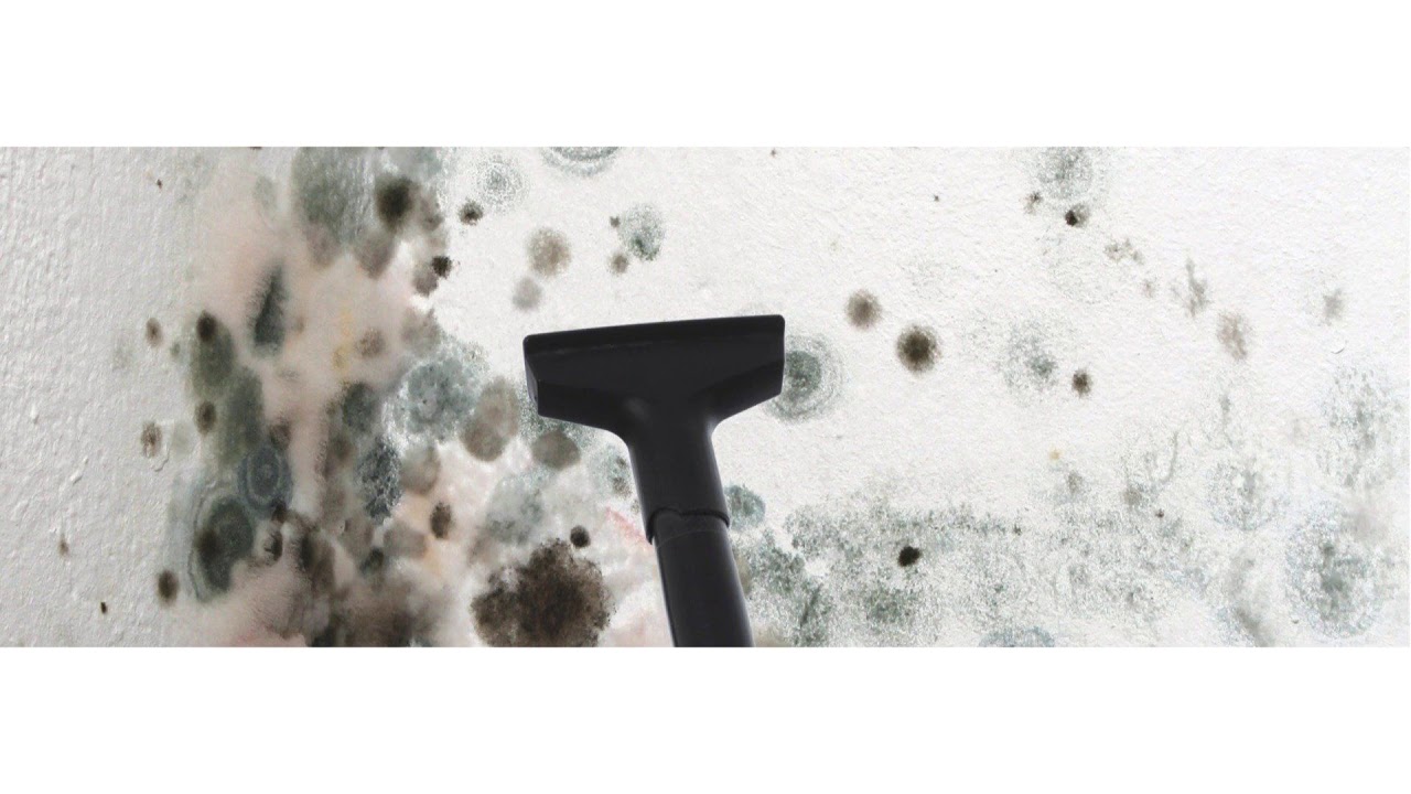 Seeking The Best Mold Removal in Hartford, CT? Think We May Found It For You!