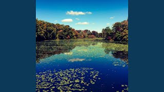Streamside Harmony in Moon's Embrace
