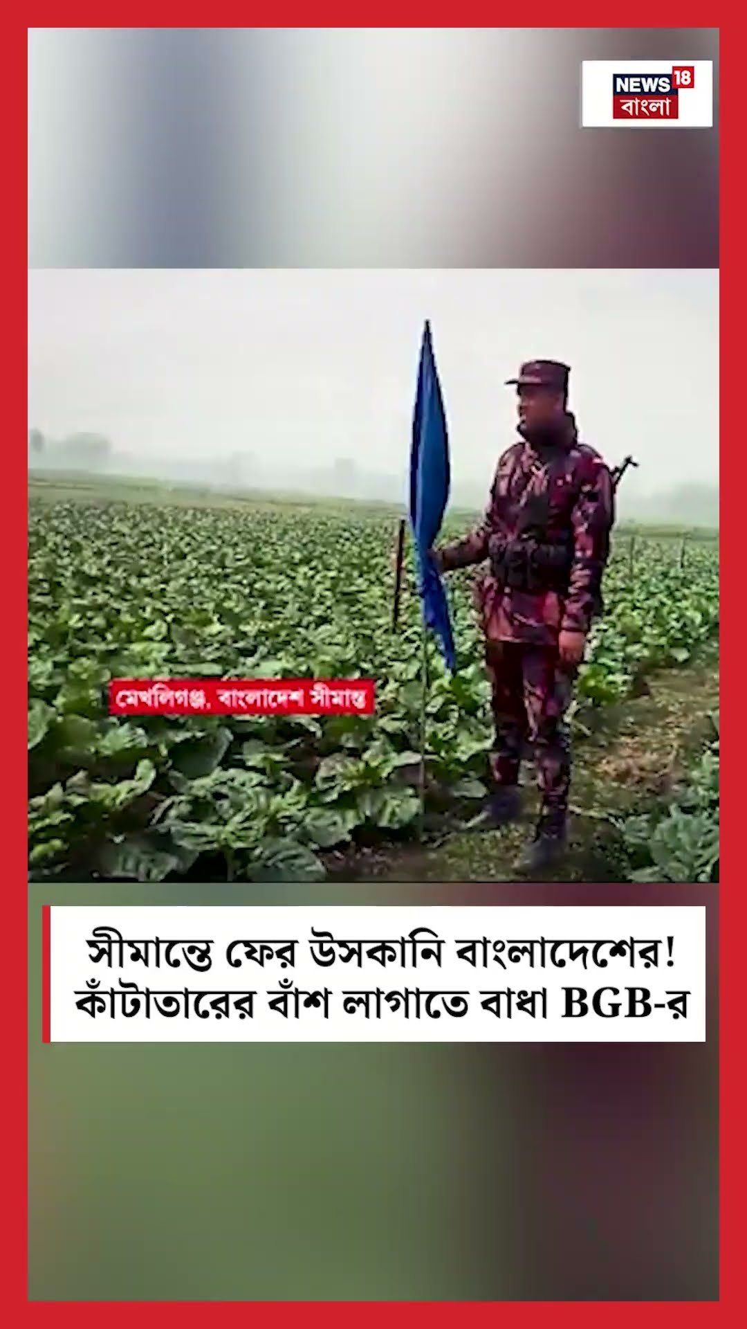 সীমান্তে ফের উসকানি Bangladesh এর! কাঁটাতারের বাঁশ লাগাতে বাধা BGB র N18S | #shorts