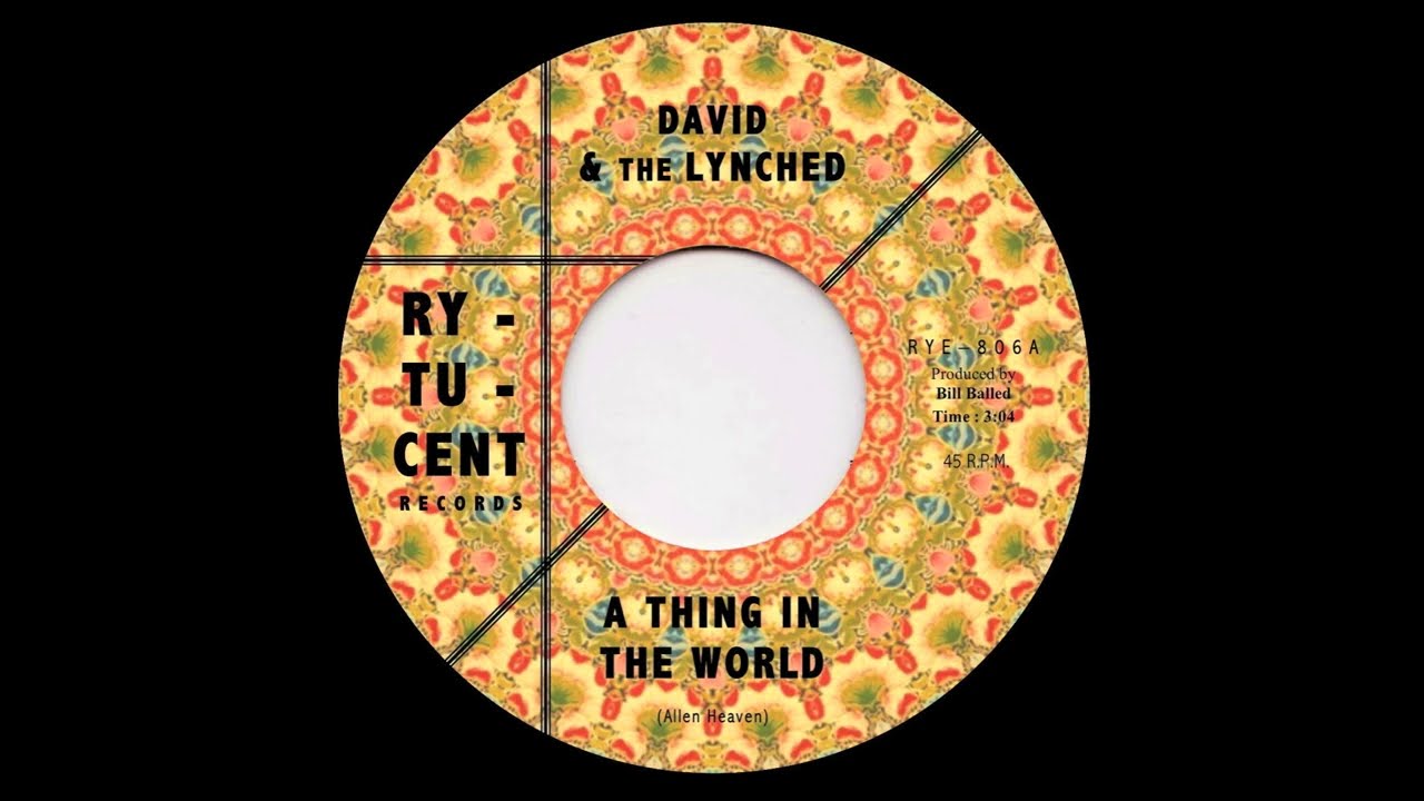 David & The Lynched - A Thing In The World (GARAGE PSYCH REVIVAL)