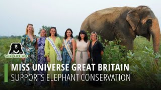 Miss Universe Great Britain Supports Elephant Conservation