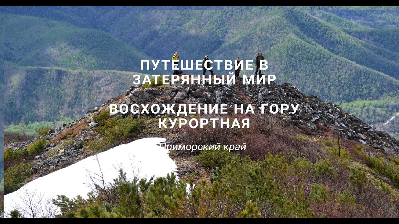 Гранты приморский край