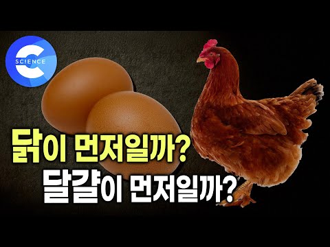 생명의 기원과 관련된 오랜 난제 🐓🥚 닭이 먼저일까? 달걀이 먼저일까? | 지식채널e