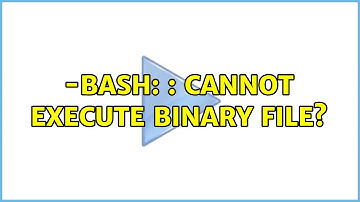 How to solve: -bash: : cannot execute binary file? (2 Solutions!!)