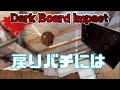 【凶暴な】キイロスズメバチ🐝だからこそ粘着板に引っ付きまくる【テレビでは絶対放送されない蜂の巣駆除の方法part6】
