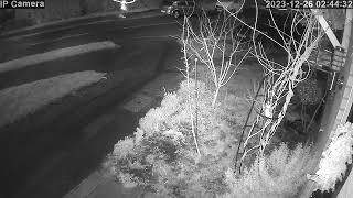 A20231226 024427 024441