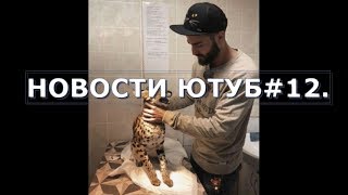 КОТ АФОНИ ПО КЛИЧКЕ ГУЧЧИ СЛОМАЛ ПОЗВОНОЧНИК./СМОЖЕТ ЛИ ОН ХОДИТЬ. НОВОСТИ ЮТУБ#12. КОТ АФОНИ ПО КЛИЧКЕ ГУЧЧИ СЛОМАЛ ПОЗВОНОЧНИК./СМОЖЕТ ЛИ ОН ХОДИТЬ. НОВОСТИ ЮТУБ#12.