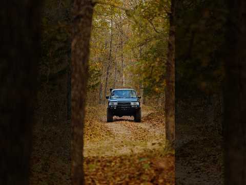 POV, you and the boys rollin up to a high fence to poach deer.