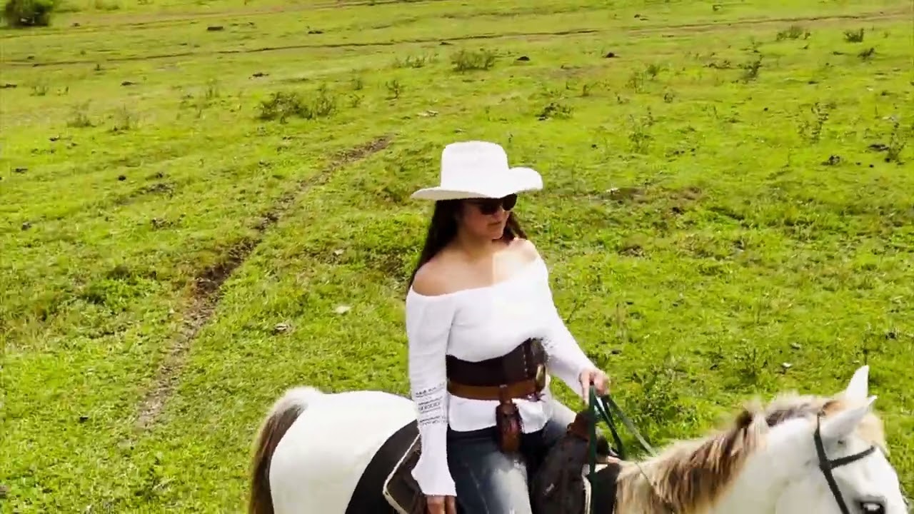 Here I Am - Bryan Adams (Vanda & Cowboy Team)