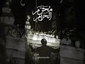 Hazrat Imam Hussain (AS) Poetry 🚩 | Muharam Al Haram Status 🙌 | #shortsfeed #viralshorts