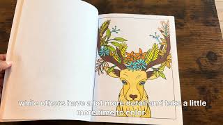 Coloring book for adults/ stress relief 
