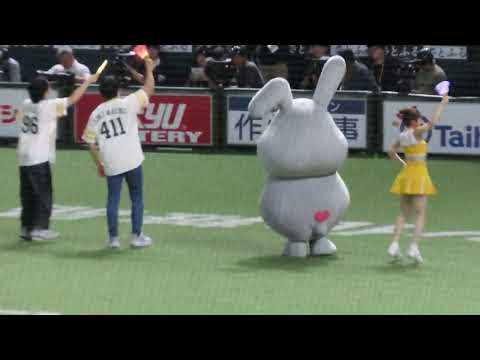 2026/7/23 ソフトバンクVSオリックス 5回終了後のパフォーマンス(ラヴィットコラボデー)