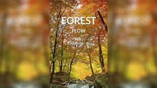 WORDSCAPES FOREST LEVELS | FLOW 33-48 | Answers screenshot 4