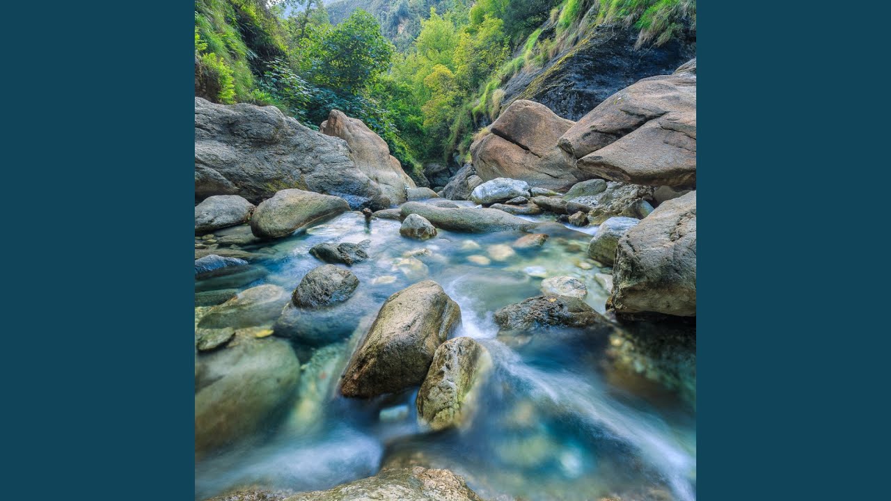 Oasis of Serene Harmony