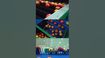 Sorting apples is now a smooth and efficient process!