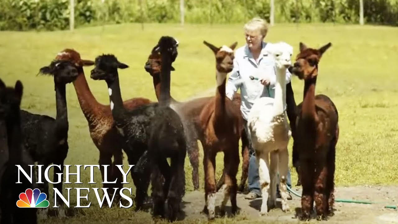 Hobby Farming On The Rise, Especially Among Retirees | NBC Nightly News