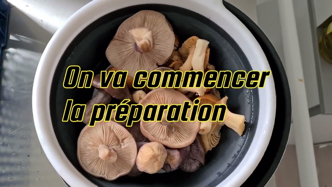 16 decembre Petite préparation des pieds violets 