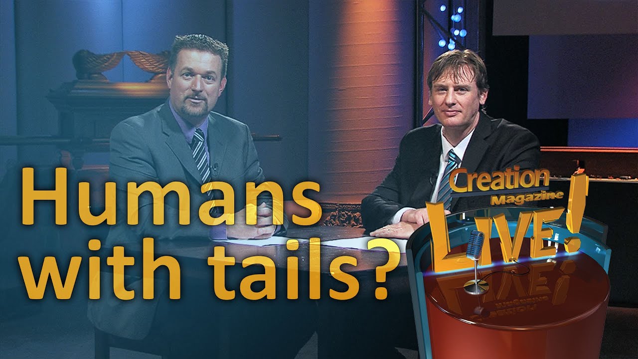 Humans With Tails Creation Magazine LIVE 5 03 YouTube humans-with-tails-creation-magazine-live-5-03-youtube
