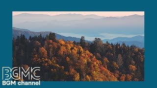 Ambient Light Music - Easy Listening Piano - Relaxing Elevator Music for Sleep, Stress Relief