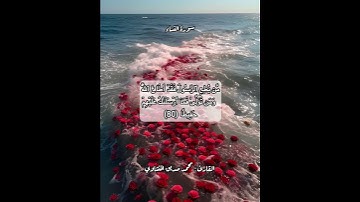 سورة النساء ٨٠ #قرآن #قرآن_كريم #قران #قران_كريم #قرأن #quran