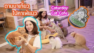 ตามมาเที่ยว น้องแก้มไปคาเฟ่แมว   Caturday Cat Cafe (ราชเทวี)