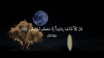 ﴿وَإِذ نادى رَبُّكَ موسى﴾ تلاوة إبداعية سورة الشعراء القارئ ياسر الدوسري