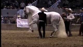 El Molinete de Ezequiel Pena en la Feria del Caballo Espanol