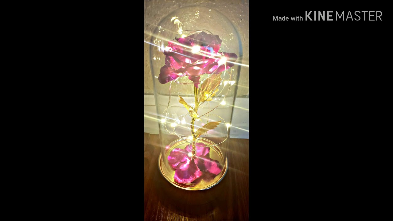 BEAUTY AND THE BEAST (LED ROSE WITH 24K GOLD) YouTube